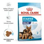 Royal Canin Maxi Starter Dry Dog Food
