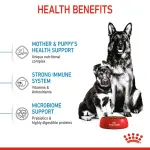 Royal Canin Maxi Starter Dry Dog Food