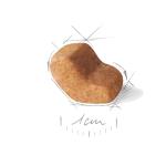 Royal Canin Shih Tzu Adult Dry Dog Food, Meat Flavor, 1.5 Kg (02Rcsht), 1 Count