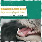 Dog Nylon Hard Chew 9inch Bone Toys for Adult Dogs, Dog Toys, Aggressive Chewers Teething Toys, Suitable for Large and Medium Dog-Size- Large (1 Piece)