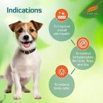 Himalaya Wellness Company, Erina EP Powder, 150g