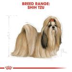 Royal Canin Shih Tzu Adult Dry Dog Food, Meat Flavor, 1.5 Kg (02Rcsht), 1 Count