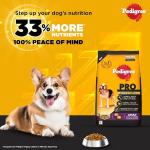 Pedigree PRO Adult (9 Months Onwards) Small Breed Dry Dog Food, 3 kg, High-Protein Dog Food