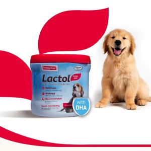 Beaphar Lactol Milk Replacement Powder Dry Food For New Born Puppy